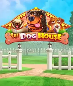 From Pragmatic Play comes The Dog House adventure, offering a fun-filled experience through playful pups. Enjoy features including sticky wilds, perfect for providing entertaining gameplay. A must-try for pet lovers a cheerful atmosphere alongside lucrative rewards.